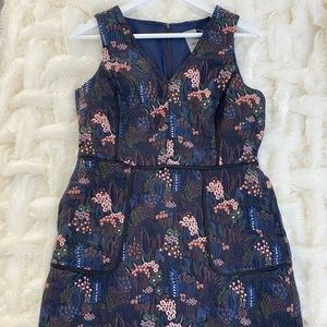NWT Ann Taylor Jacquard Navy/Pink Dress 10P